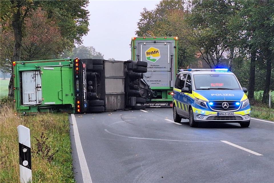 Elf Schweine notgetötet bei Unfall zwischen Oeding und Burlo Der Anhänger des Schweinetransporters kippte bei dem Unfall um.